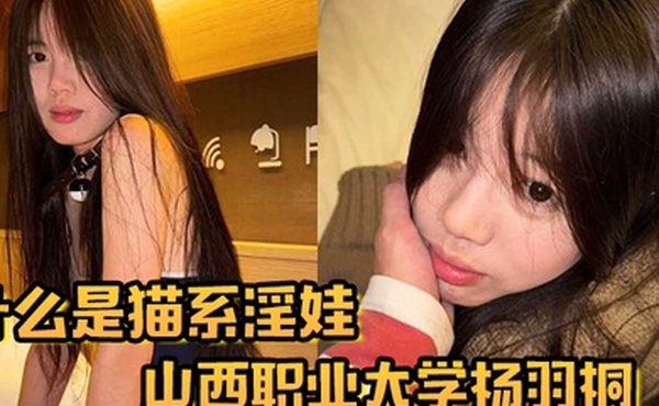 什么是猫系淫娃山西职业大学杨羽桐被曝光在发情期褪去高冷转变为淫娃